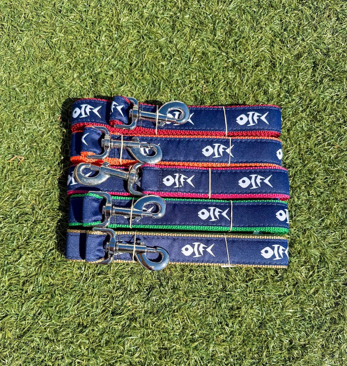 OIFC Dog Leashes