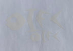 OIFC Bonefish Decal